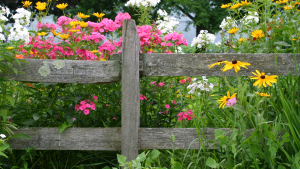 fence with flowers